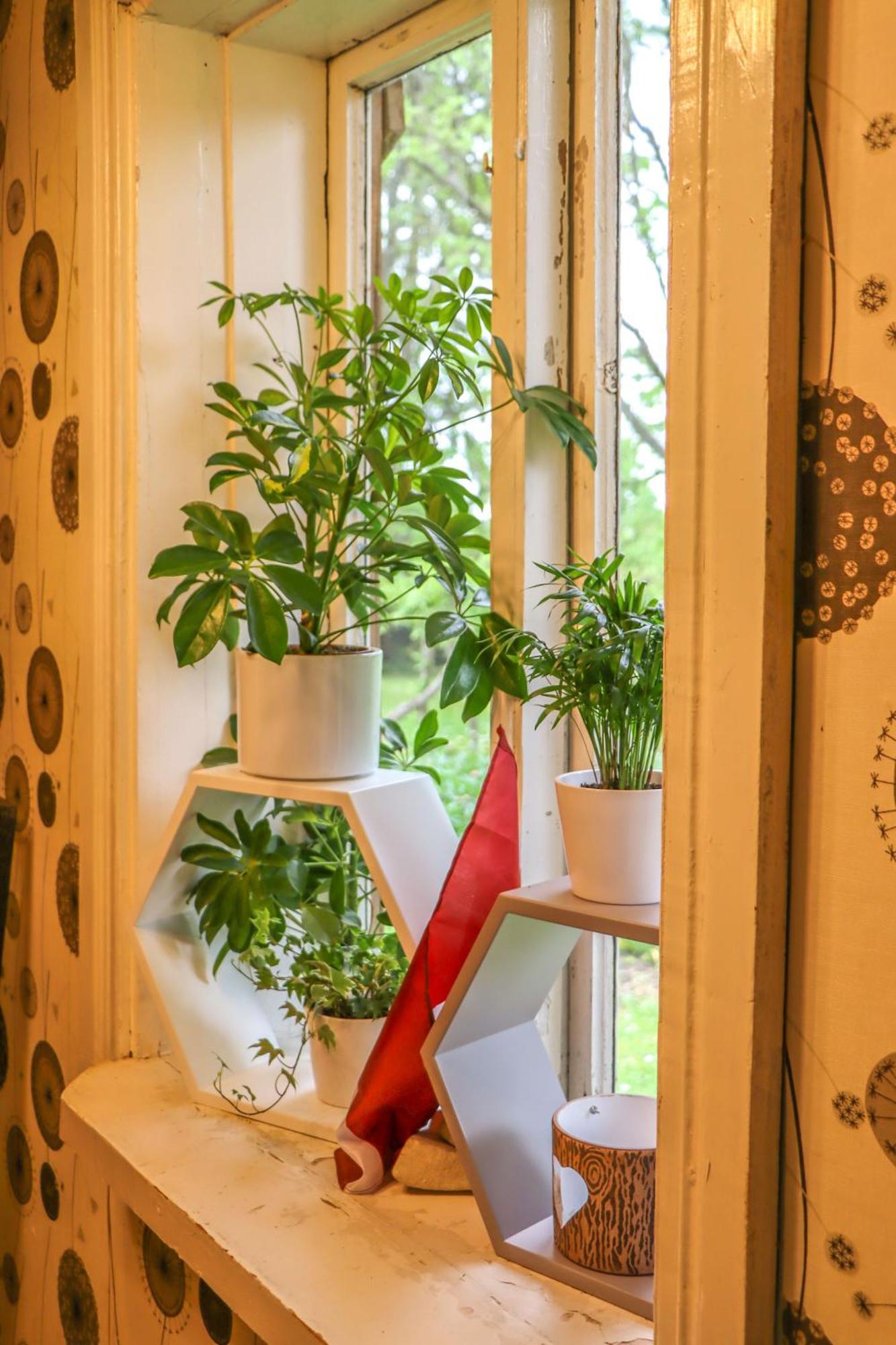 Gasthaus Lauku Viesu Maja Bajari Rucava Exterior foto