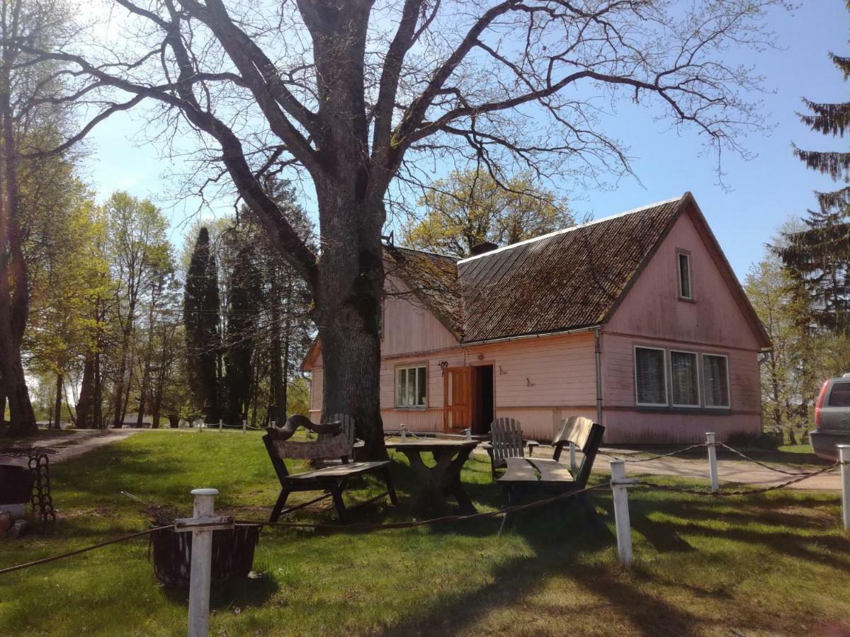 Gasthaus Lauku Viesu Maja Bajari Rucava Exterior foto